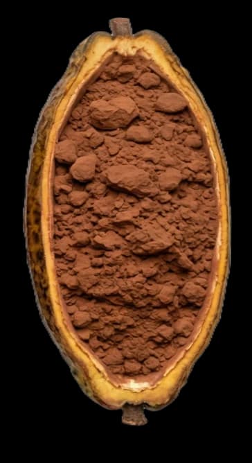 Cocoa processing stage 5 / 5